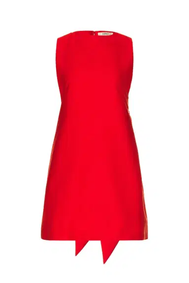 SRG Daniel Mini Dress | Thumbnail 4