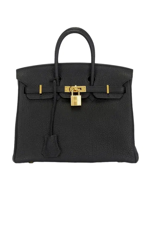 Hermes Clemence Birkin 25 Handbag