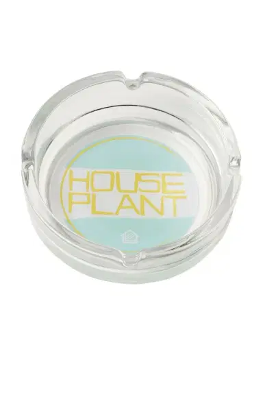 Houseplant Glass Ashtray | Thumbnail 1 Houseplant Glass Ashtray | Thumbnail 1