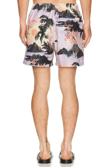 OAS Regalia Swim Shorts | Thumbnail 2