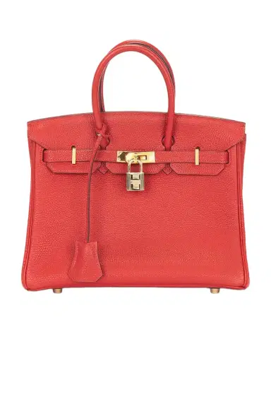 HERMÈS Hermes Togo Birkin 25 Retourne Handbag | Thumbnail 1