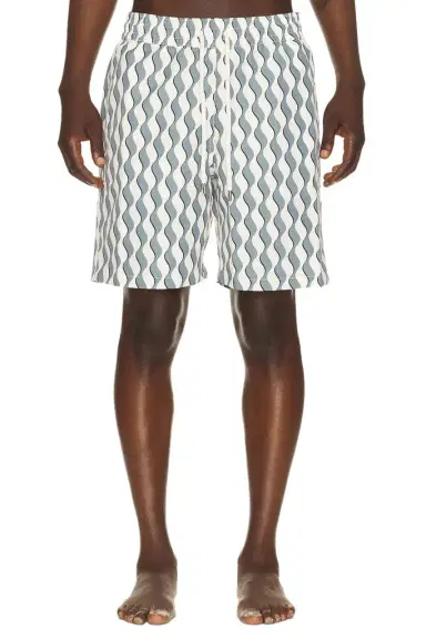 Frescobol Carioca Santos Swim Short | Thumbnail 1