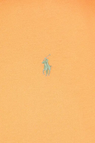 Polo Ralph Lauren Short Sleeve Mesh Polo | Thumbnail 5