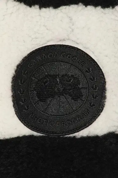 Canada Goose Harrier Fleece Hoodie | Thumbnail 6
