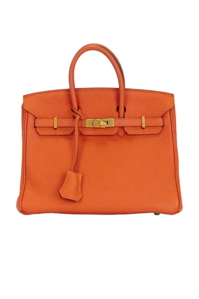 HERMÈS Hermes Chevre Birkin 25 Handbag