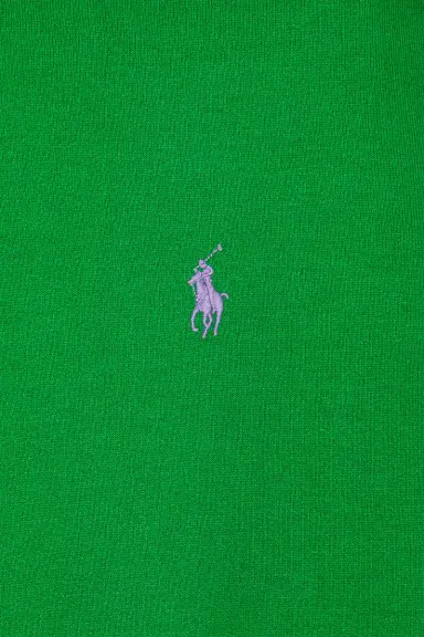 Polo Ralph Lauren RL Fleece Pullover Hoodie | Thumbnail 5