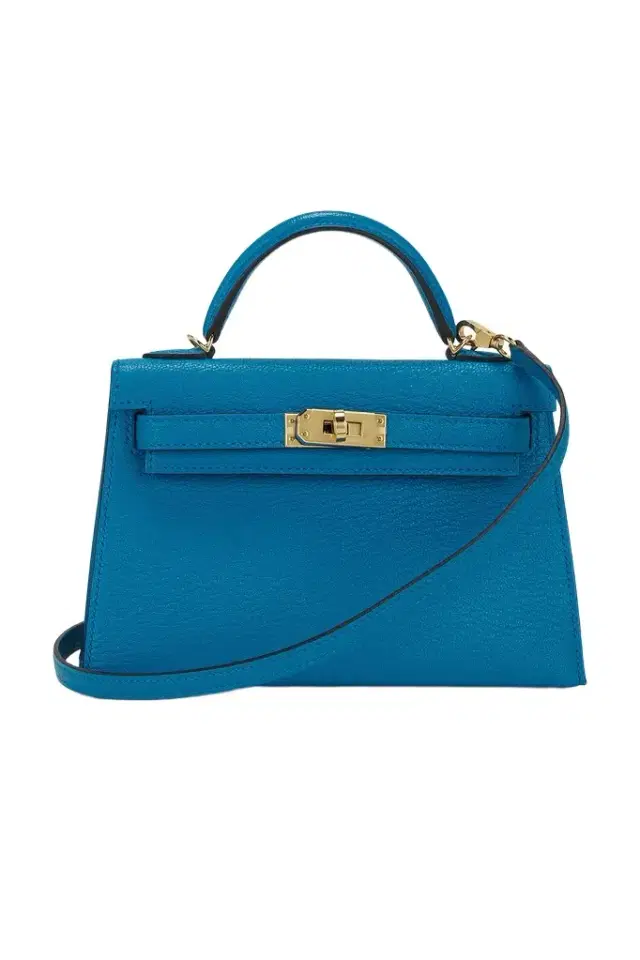 HERMÈS Hermes Chevre Kelly 20 Handbag