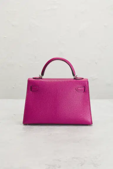 HERMÈS Hermes Chevre Kelly 20 Handbag | Thumbnail 3