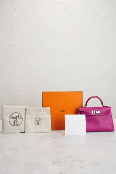 HERMÈS Hermes Chevre Kelly 20 Handbag | Thumbnail 9