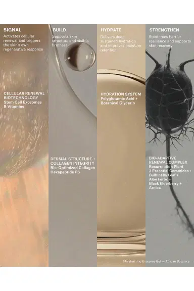 African Botanics Moisturizing Exosome Gel | Thumbnail 2 African Botanics Moisturizing Exosome Gel | Thumbnail 2