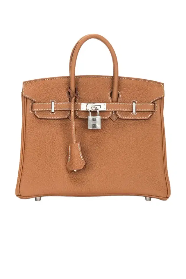 HERMÈS Hermes Togo Birkin 25 Handbag