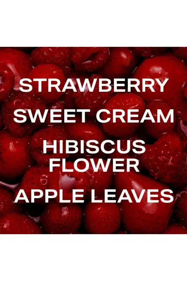 PHLUR Travel Size Berry Cream Hair And Body Mist 3oz | Thumbnail 2