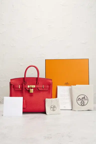 HERMÈS Hermes Togo Birkin 25 Handbag | Thumbnail 7