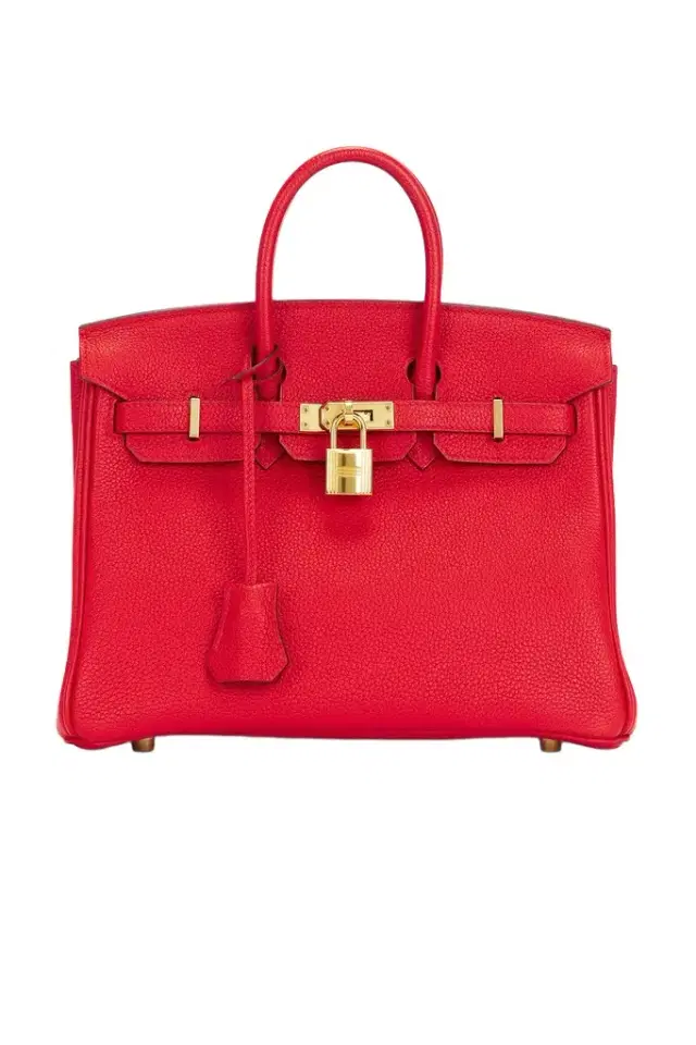 HERMÈS Hermes Togo Birkin 25 Handbag