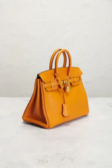 HERMÈS Hermes Togo Birkin 25 Handbag | Thumbnail 4