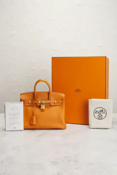 HERMÈS Hermes Togo Birkin 25 Handbag | Thumbnail 7
