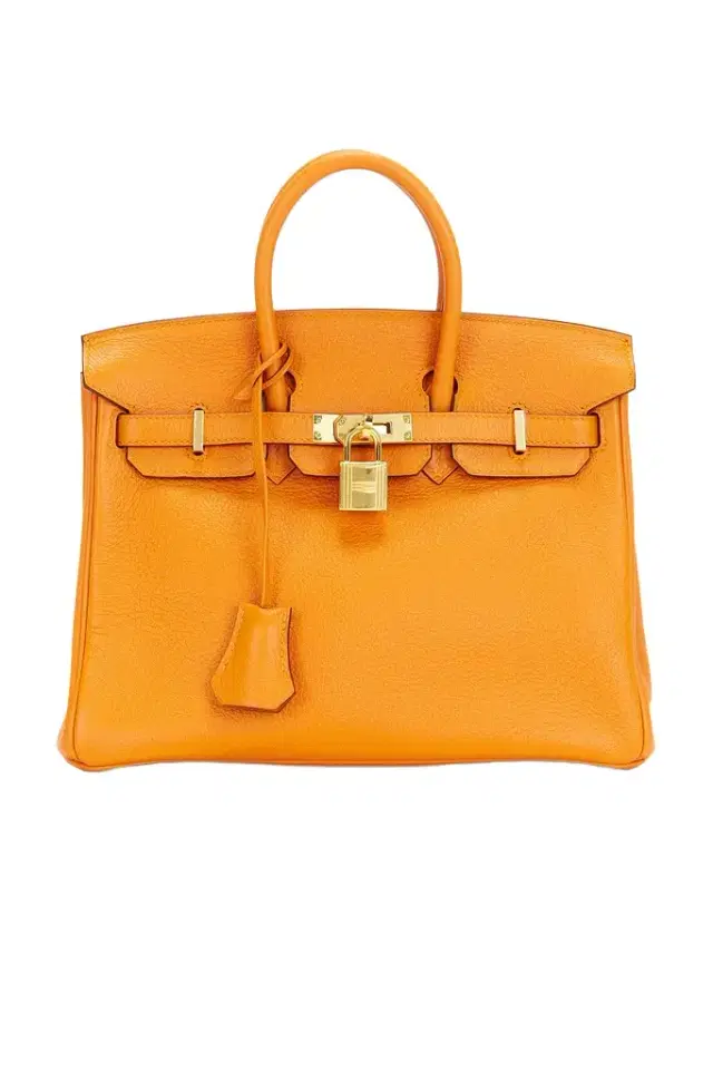 HERMÈS Hermes Togo Birkin 25 Handbag