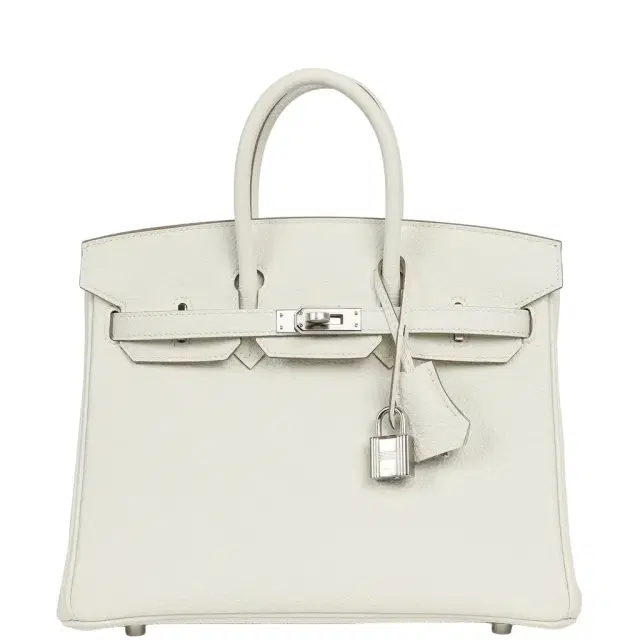 HERMÈS Hermes Birkin 25 Mushroom Togo Palladium Hardware