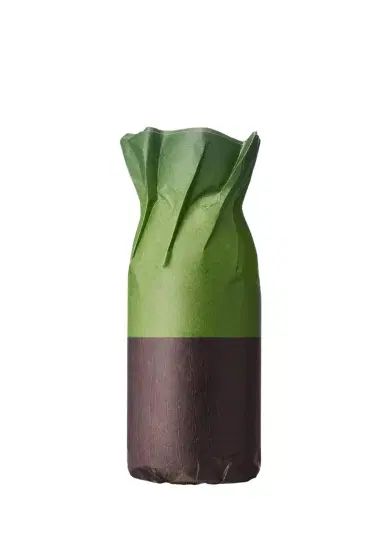 Dries Van Noten Cannabis Patchouli Eau de Parfum Refill, 6.8 oz. | Thumbnail 1