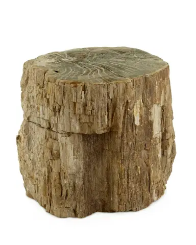 Bernhardt Interiors Petrified Wood Side Table | Thumbnail 3