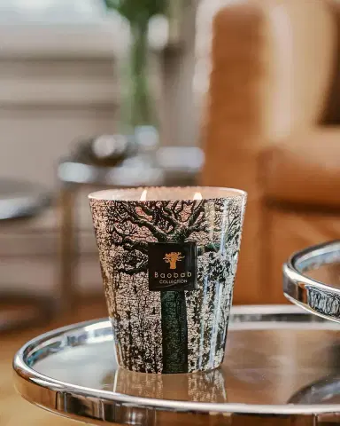 BAOBAB COLLECTION Sacred Trees Kani 4-Wick Max16 Candle | Thumbnail 2