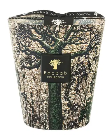 BAOBAB COLLECTION Sacred Trees Kani 4-Wick Max16 Candle | Thumbnail 1