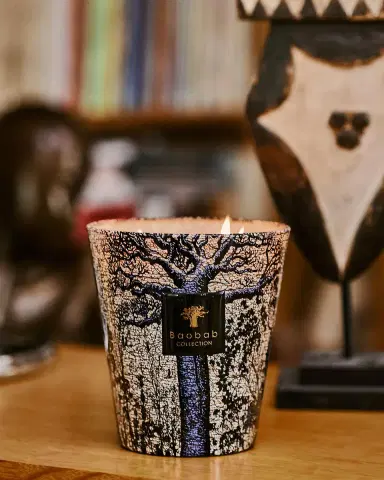BAOBAB COLLECTION Sacred Trees Seguela 4-Wick Max16 Candle | Thumbnail 2