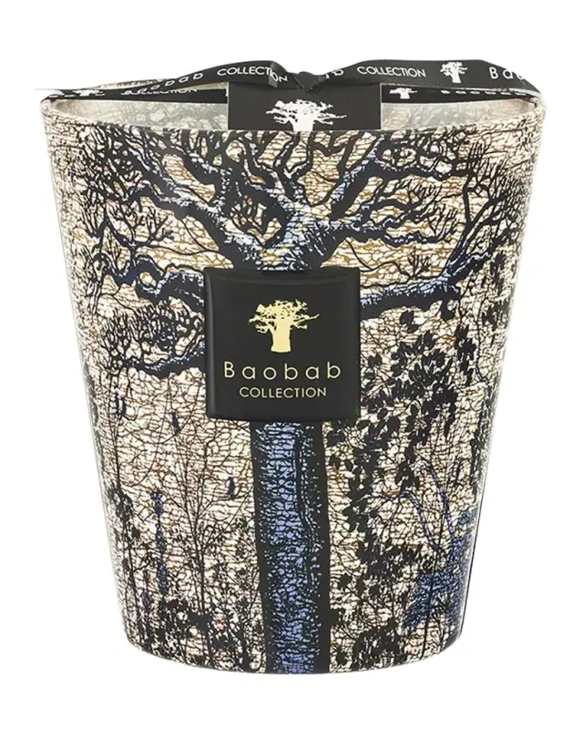 BAOBAB COLLECTION Sacred Trees Seguela 4-Wick Max16 Candle