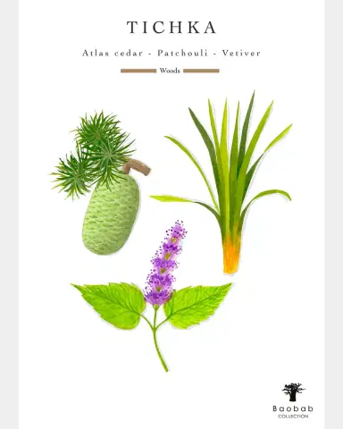 BAOBAB COLLECTION Atlas Tichka 7-Wick Max 35 Candle, 10.35 kg | Thumbnail 3