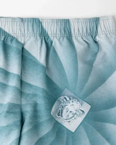 Versace Printed Swim Shorts | Thumbnail 2