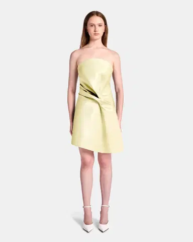 Kate Barton Kate Liquid Draped Mini Dress | Thumbnail 2