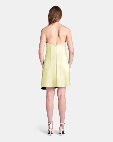 Kate Barton Kate Liquid Draped Mini Dress | Thumbnail 3