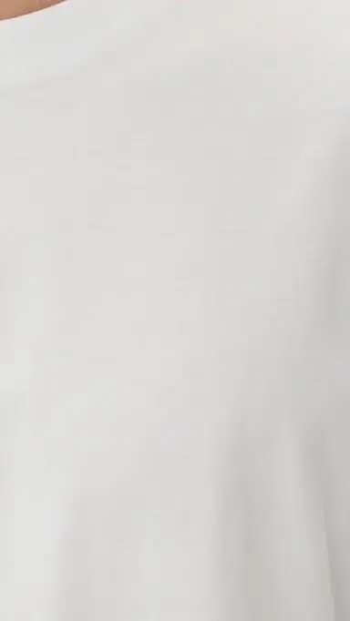 Madewell The Vintage Tee | Thumbnail 6