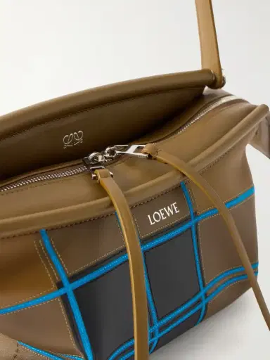 Loewe Whisker Checked Leather Shoulder Bag | Thumbnail 5