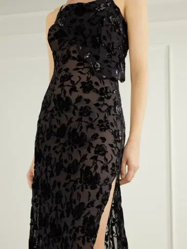 Ann Demeulemeester Aaricia Asymmetric Velvet-devoré Tulle Maxi Dress | Thumbnail 4