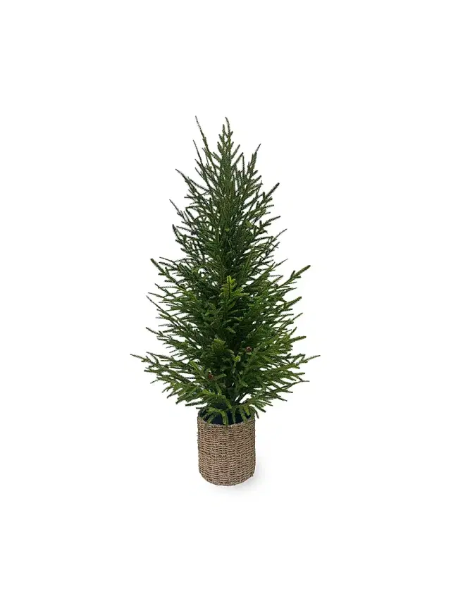 Winward Home Artificial Christmas Norfolk Tree With Basket