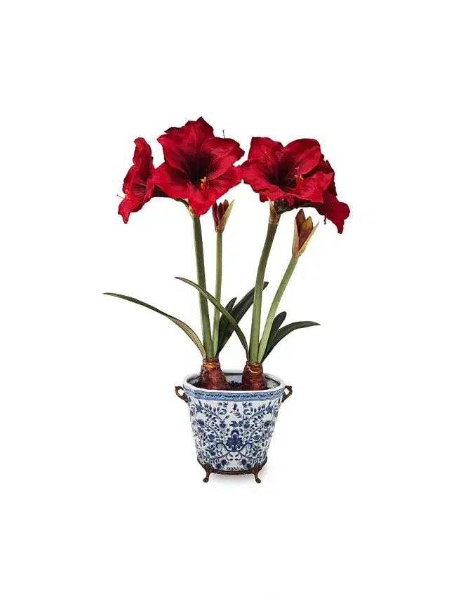 Winward Home Artificial Amaryllis In Ceramic Vessel