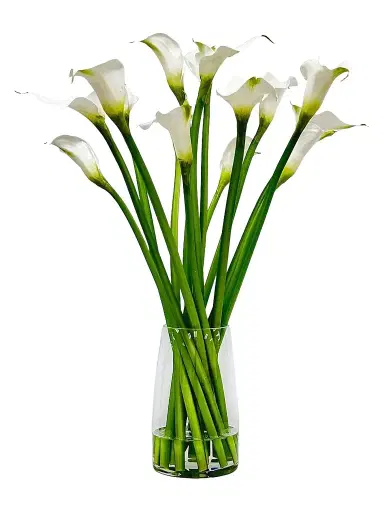Winward Home Everyday Newness Refresh Faux Calla Lily Arrangement | Thumbnail 1 Winward Home Everyday Newness Refresh Faux Calla Lily Arrangement | Thumbnail 1