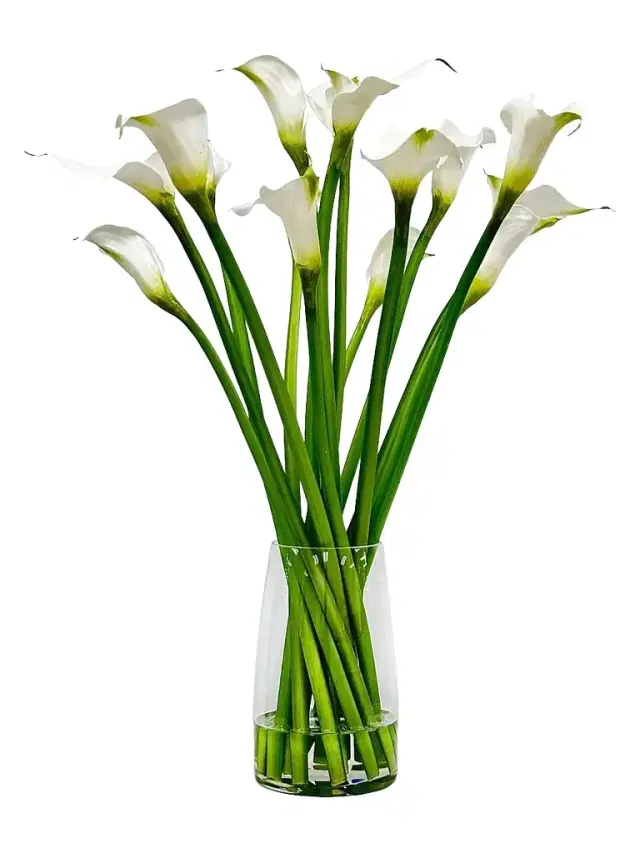 Winward Home Everyday Newness Refresh Faux Calla Lily Arrangement