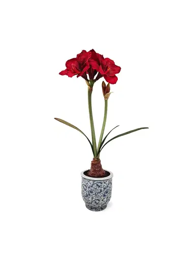 Winward Home Artificial Amaryllis In Ceramic Pot | Thumbnail 1