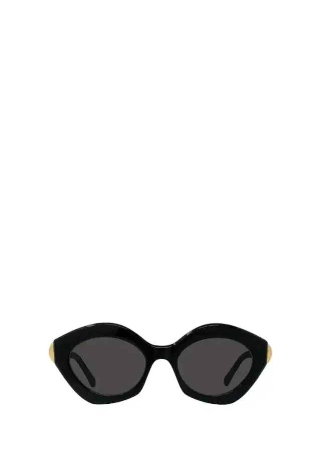 Loewe Coil 53MM Cat-Eye Sunglasses