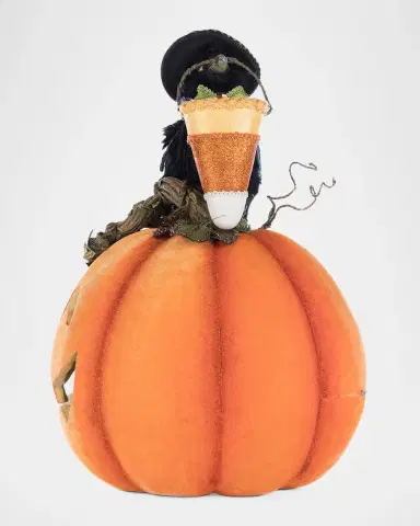 Katherine 's Collection Crow with Pumpkin Tabletop Decor | Thumbnail 4