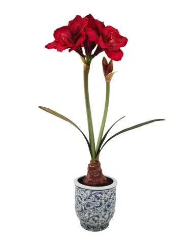 Winward Home Artificial Amaryllis Ceramic Pot | Thumbnail 2