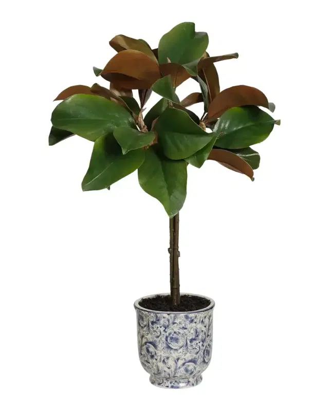 Winward Home Holiday Newness Faux Magnolia Leaf Arrangement