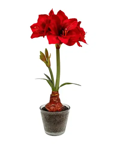 Winward Home Holiday Newness Faux Amaryllis Floral Arrangement | Thumbnail 2