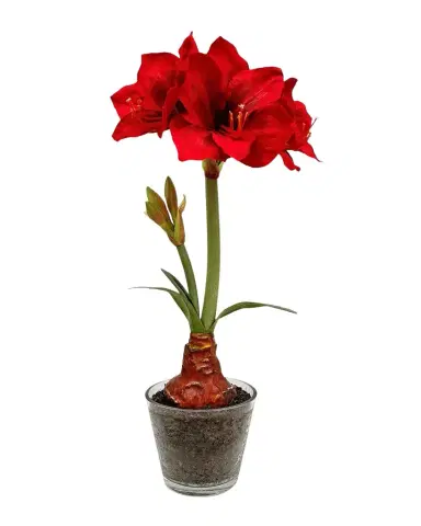 Winward Home Holiday Newness Faux Amaryllis Floral Arrangement | Thumbnail 1