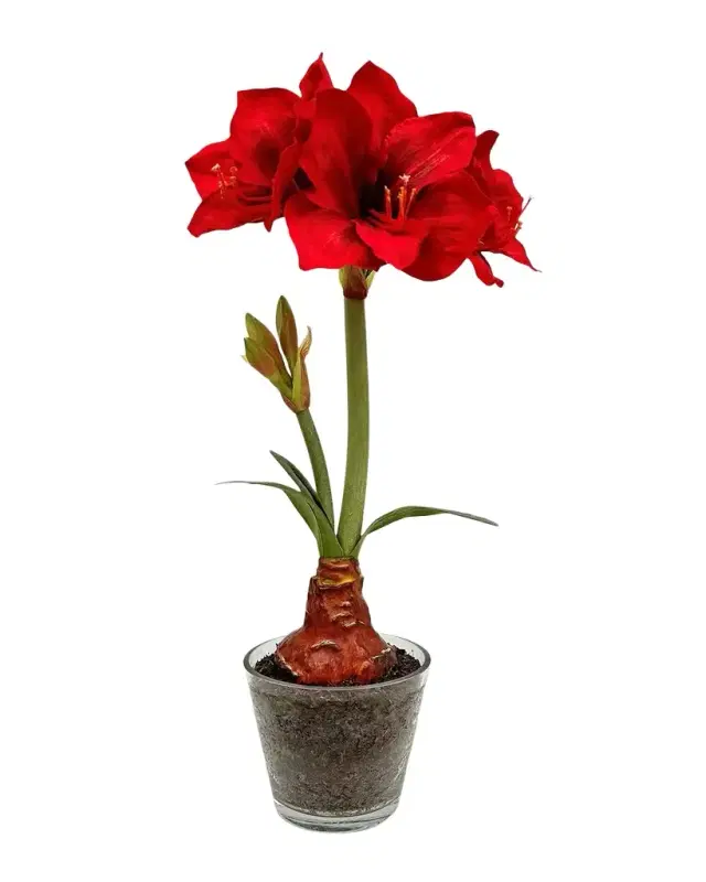 Winward Home Holiday Newness Faux Amaryllis Floral Arrangement