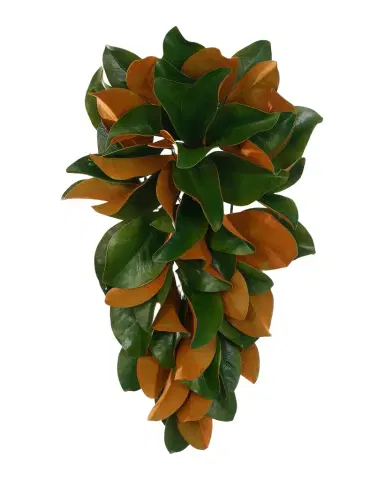 Winward Home Permanent Botanicals Magnolia Teardrop Floral Arrangement | Thumbnail 1
