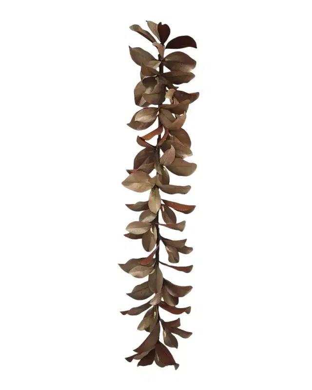 Winward Home Artificial Dry Magnolia Leaf Garland