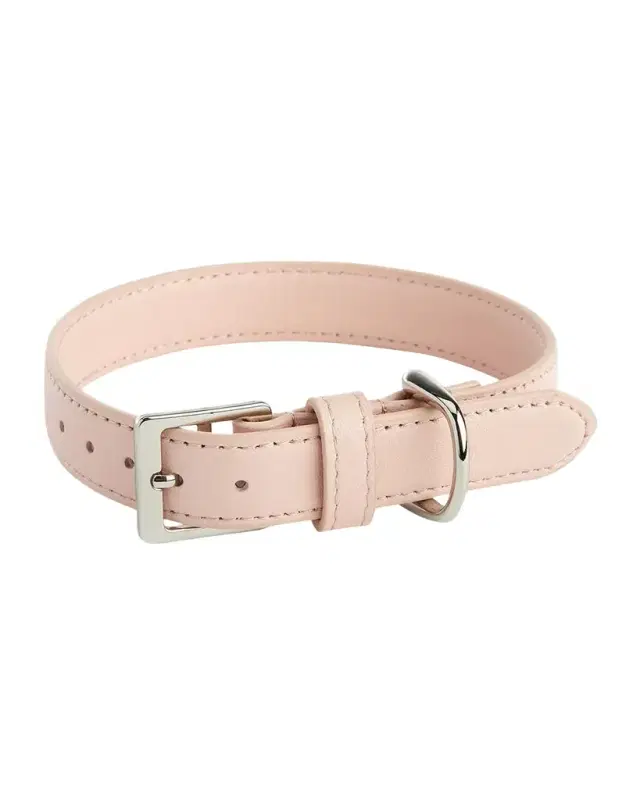 Royce New York Personalized Leather Small Dog Collar, Personalized
